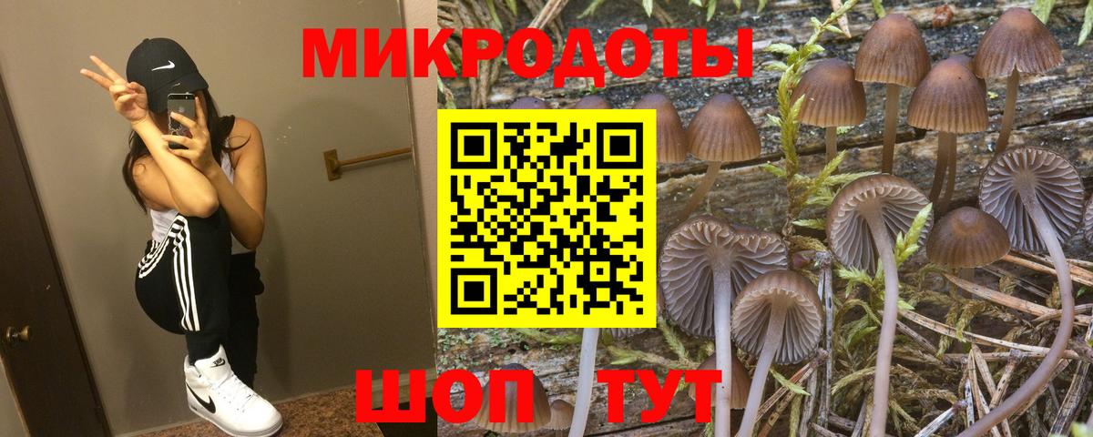 закладки  Галлюциногенные грибы Cubensis  Вход с VPN  Волжский 
