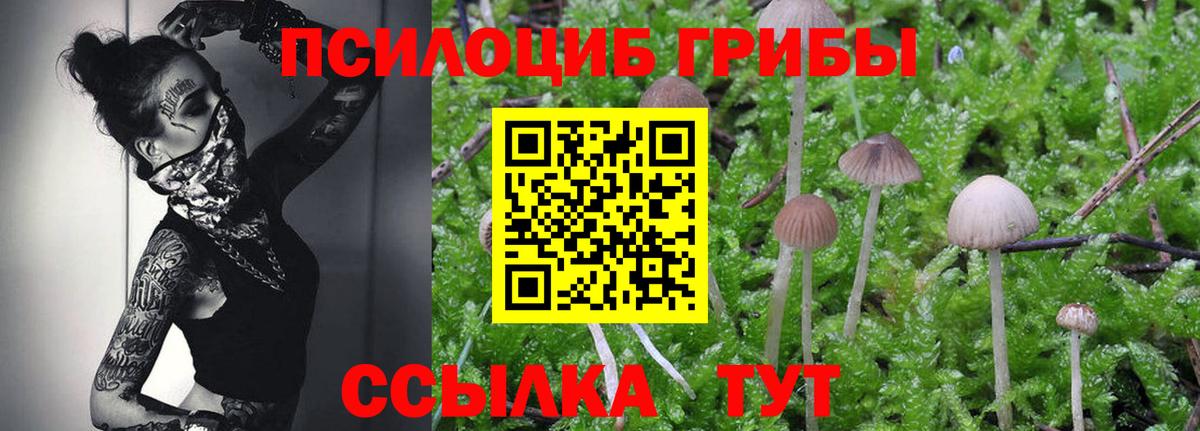 Галлюциногенные грибы MAGIC MUSHROOMS Волжский
